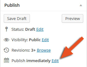 edit wordpress publishing options