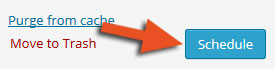 schedule button in wordpress