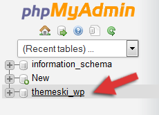 phpmyadmin wordpress database