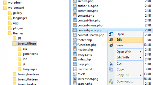 3 Ways to Access and Edit Your WordPress Files - ThemeSkills