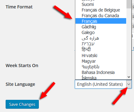 change language in wordpress