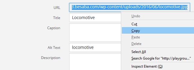 Copy image URL in WordPress