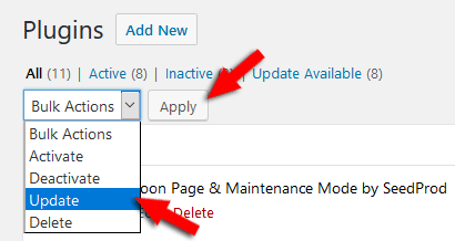 Bulk update plugins in WordPress
