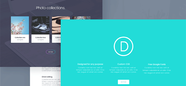 Divi Theme