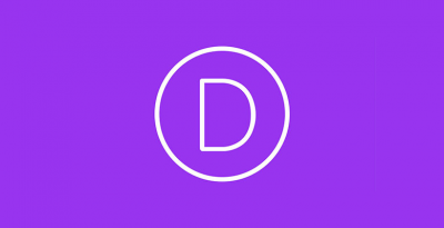 divi theme