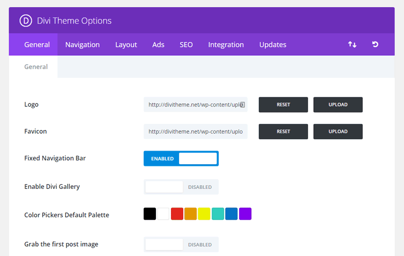 Divi theme options panel