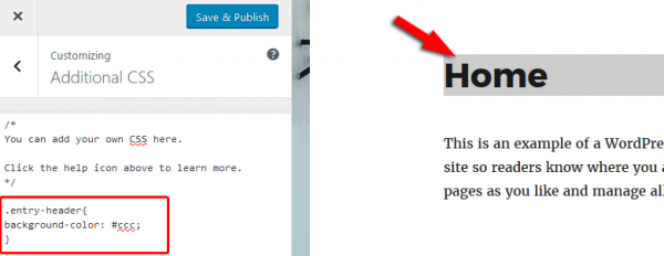 5 Ways to Add Custom CSS to Your WordPress Website - ThemeSkills
