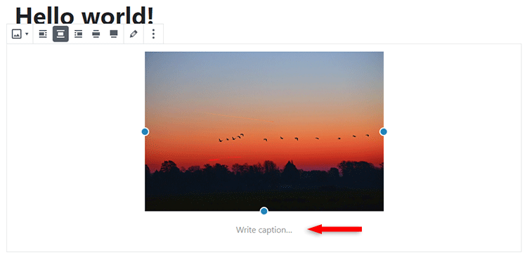 add caption to images in gutenberg