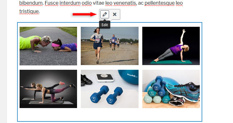 edit wordpress gallery