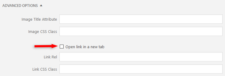 open link in new tab wordpress image widget