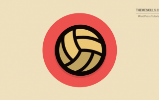 volley ball icon