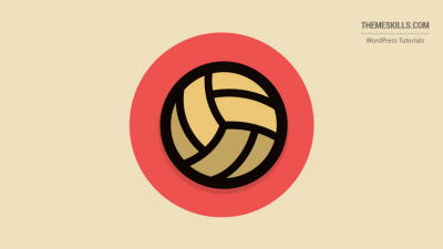 volley ball icon