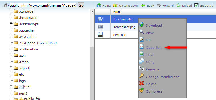 edit functions.php cpanel