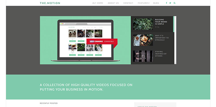 themotion wordpress video theme