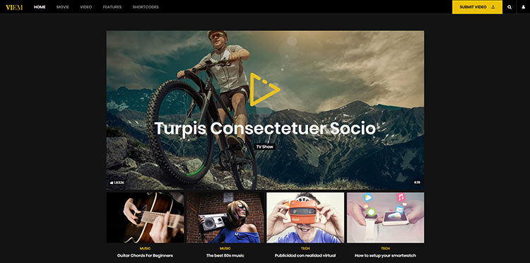 viem wordpress video theme
