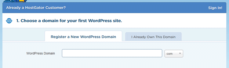 hostagtor wordpress hosting choosing domain name