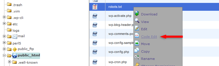 edit wordpress robots.txt via cpanel