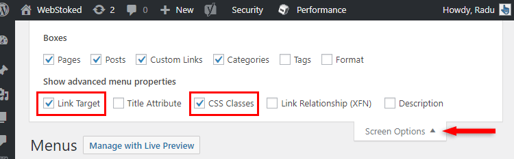 accessing screen options wordpress menu