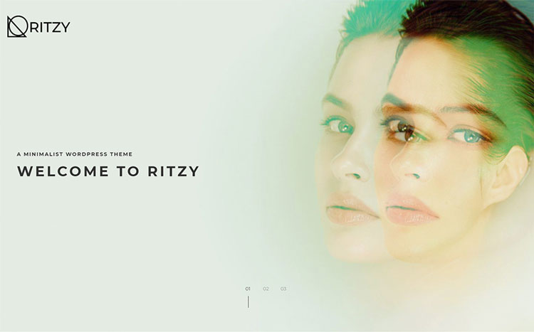 ritzy art wordpress theme