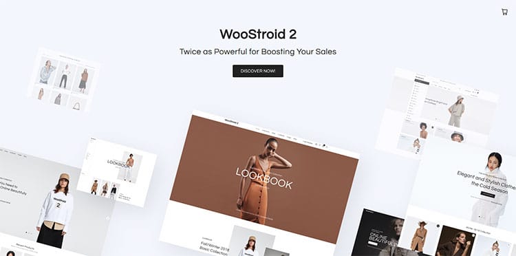 woostroid 2 woocommerce theme