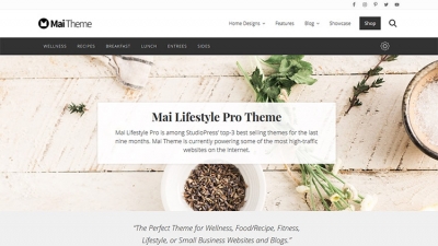 mai lifestyle pro theme