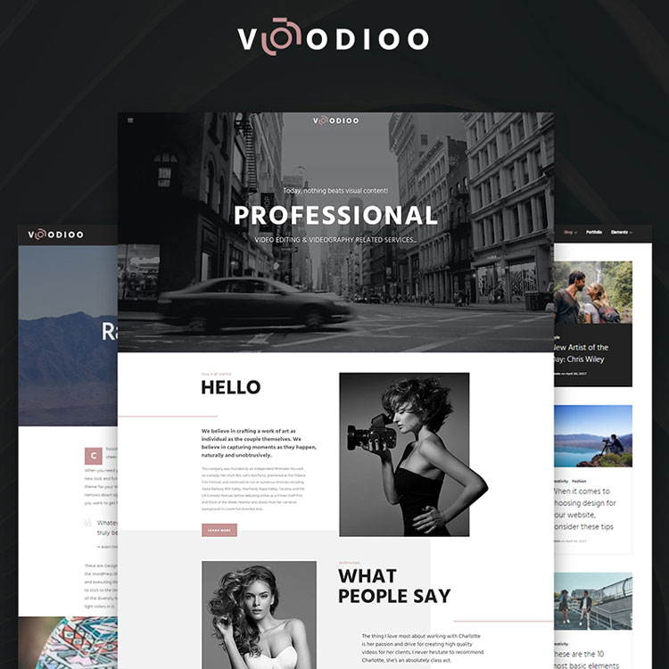 voodioo movie wordpress theme