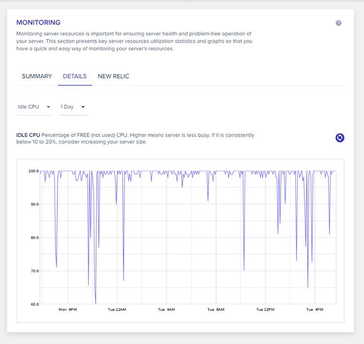 Cloudways Detailed Monitoring